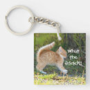 Search for ginger cat key rings Funny