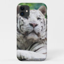 Search for white tiger iphone cases Photograph