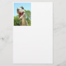 Search for dinosaur stationery paper For kids