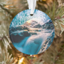 Search for iceland christmas tree decorations Winter
