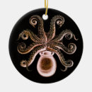Search for squid christmas tree decorations Octopus
