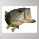 Search for largemouth posters Bass
