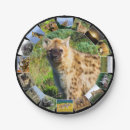 Search for spotted photography Wildlife