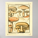 Search for mushroom art Brown