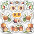 Search for peach state stickers Fruit