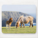 Search for foal mousepads Ranch