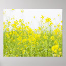 Search for mustard posters Yellow