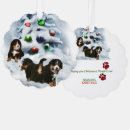 Search for bernese mountain dog christmas cards Xmas
