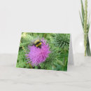 Search for bumblebee cards Photography