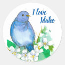 Search for state of idaho stickers Mountain bluebird
