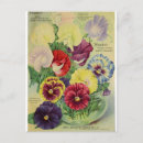 Search for pansy flower postcards Floral
