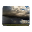 Search for wildebeests magnets Africa