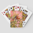 Search for ladybug playing cards Nature