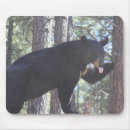 Search for bears mousepads Black bear
