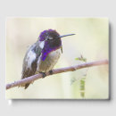 Search for hummingbird guest books Nature