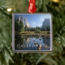 Search for landing christmas tree decorations California