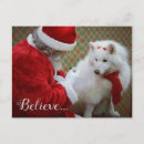 Search for samoyed dog postcards White