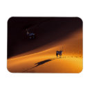 Search for african nations magnets Desert