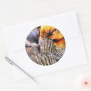 Search for wild duck stickers Wildlife