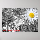 Search for attractive posters Artistic