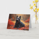 Search for scottish terrier cards Pet