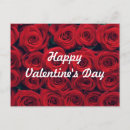 Search for red rose postcards Floral