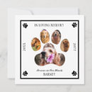 Search for announcing death of dog In loving memory