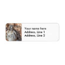 Search for hawk return address labels Wildlife