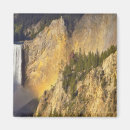 Search for lower fall magnets Scenic