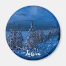 Search for nights magnets Forest