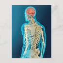 Search for human brain postcards Transparent