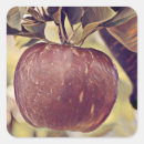 Search for red apple fruit stickers Fall
