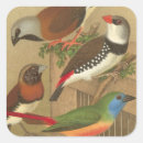 Search for avian stickers Bird