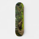 Search for dino skateboards Tyrannosaurus