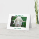 Search for over the hill 40th birthday cards Funny