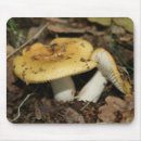 Search for mushroom mousepads Toadstools