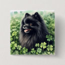 Search for poms badges Cute