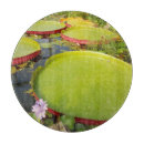 Search for chopping boards Green
