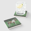 Search for adorable coasters Cute