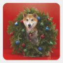 Search for shiba stickers Red