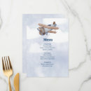 Search for boy baby shower menus Aeroplane