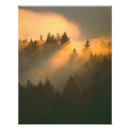 Search for marin county posters Tree