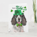 Search for english setter cards Setters
