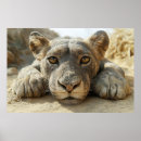 Search for wellbeing posters Meditation