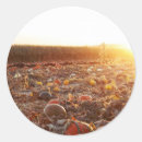 Search for gourds stickers Farm