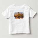 Search for junipers tshirts Southwest
