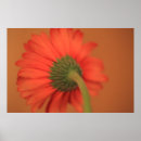 Search for gerber art Floral