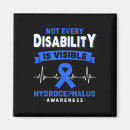 Search for disable magnets Awareness