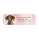 Search for german shorthaired pointer return address labels Gsp