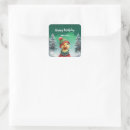 Search for cute duckling stickers Kids